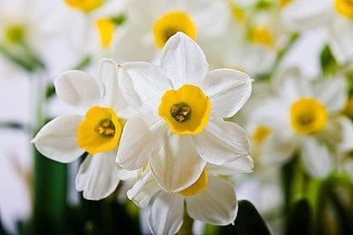 《终结者：反抗军》DLC公布 12月10日发售